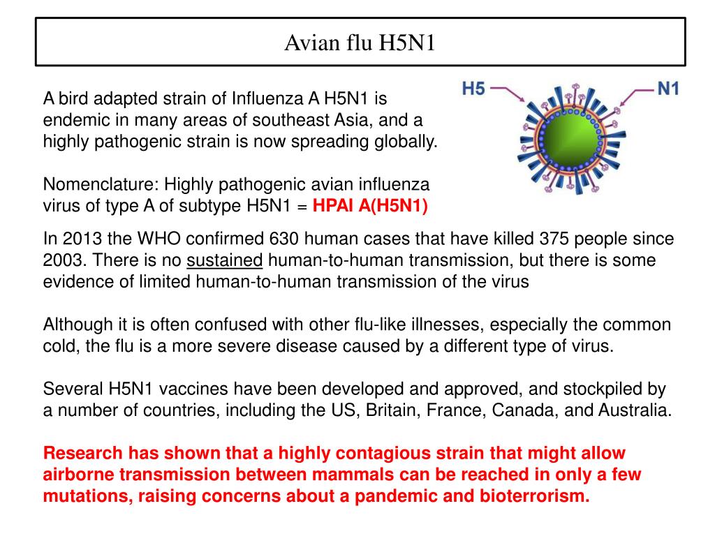 Airborne droplet virus aerosols droplets infection respiratory cdc spreads possible aerosol occur other cough infectious reducing flu increased say penularan