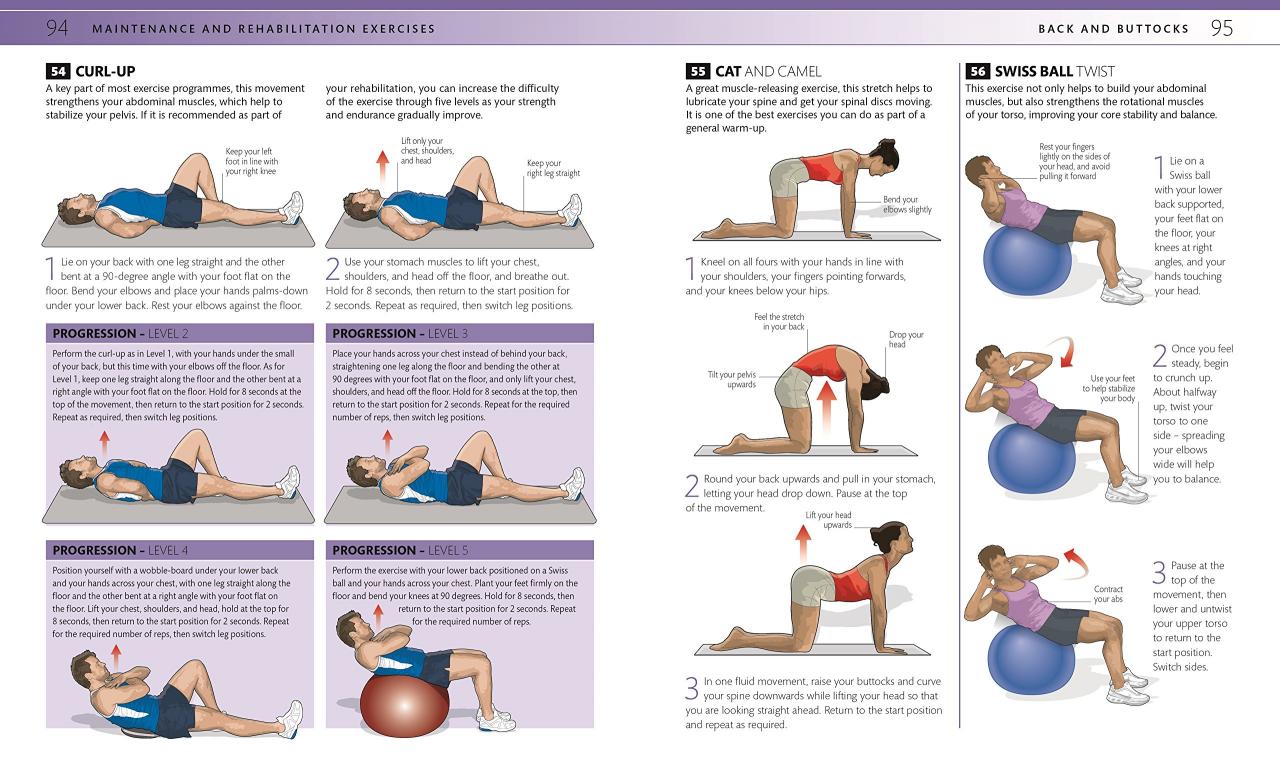 Pain exercises lower back relief enlarge click